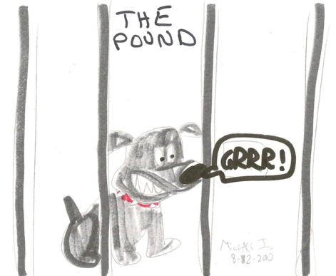 Image of dog in the pound